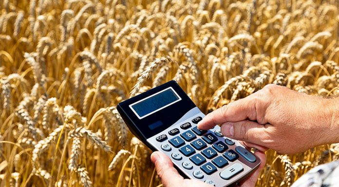 Налогообложение для ИП в сельскохозяйственном бизнесе
