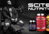 Scitec Nutrition: венгерский бренд, один из лидеров европейского производства спортивного питания