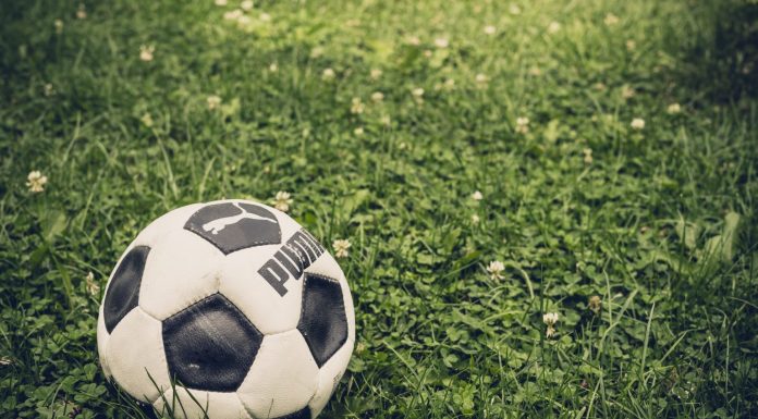 Можно ли заработать на ставках, не вкладывая средств: подробности