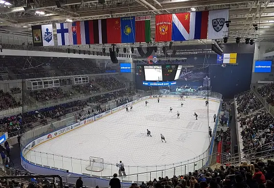 Хоккей: история, правила и популярность