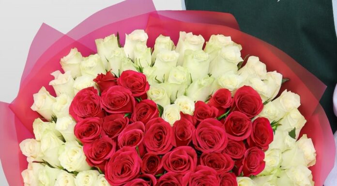 101 роза: почему это символ безупречной любви и преданности